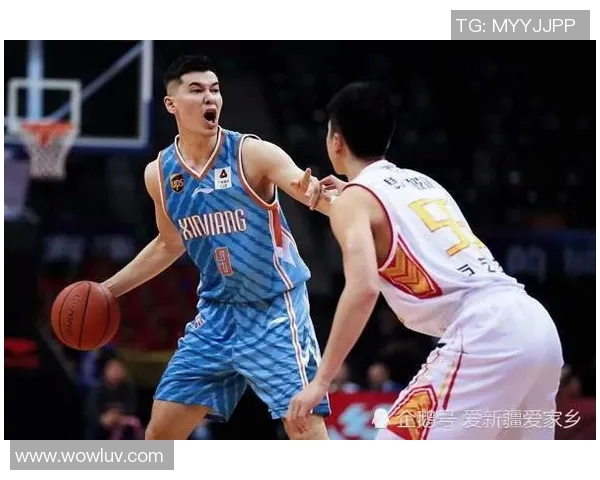 新疆与辽宁篮球对决数据分析及赛季表现全面解读