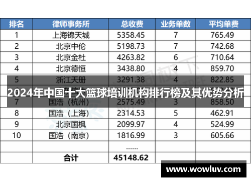 2024年中国十大篮球培训机构排行榜及其优势分析