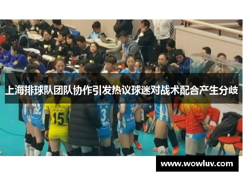 上海排球队团队协作引发热议球迷对战术配合产生分歧