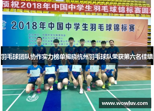 羽毛球团队协作实力榜单揭晓杭州羽毛球队荣获第六名佳绩