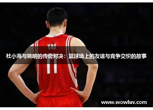 杜小海与姚明的传奇对决：篮球场上的友谊与竞争交织的故事