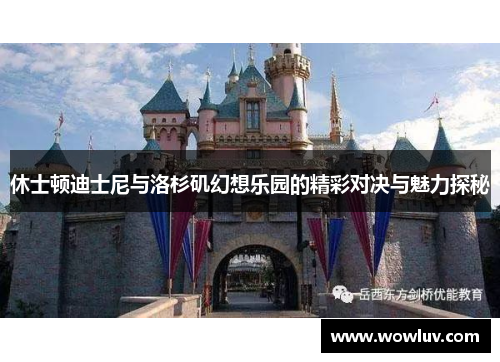 休士顿迪士尼与洛杉矶幻想乐园的精彩对决与魅力探秘